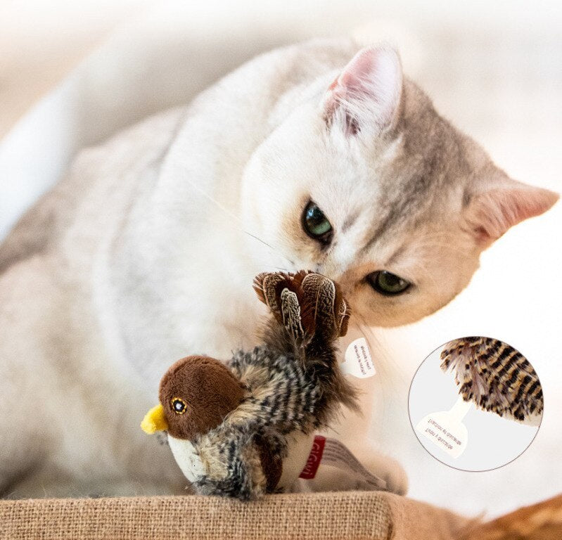 Bird Cat Toy