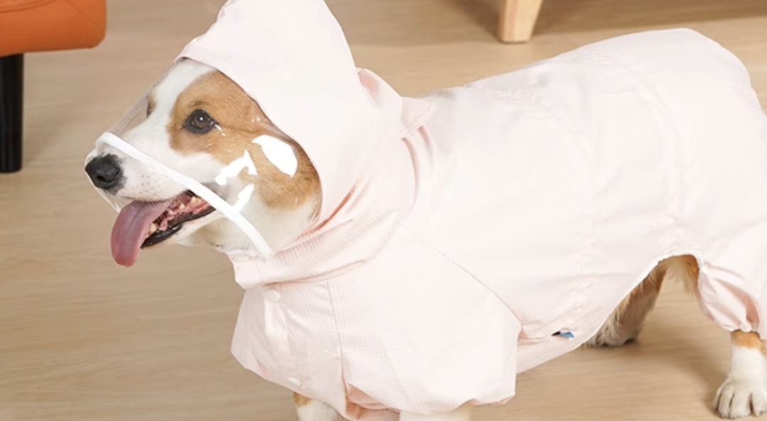 Waterproof Four-leg Raincoat For Dogs